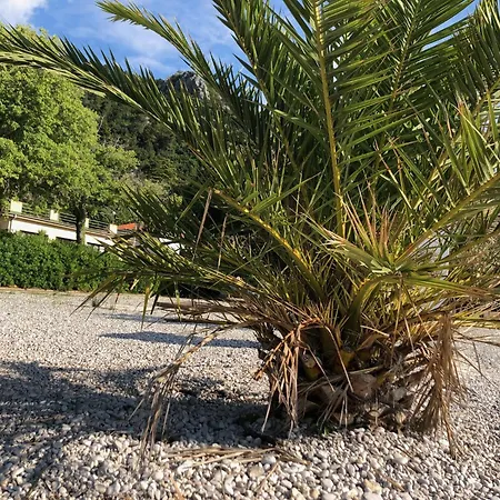 Apartment Sabine Losinj *